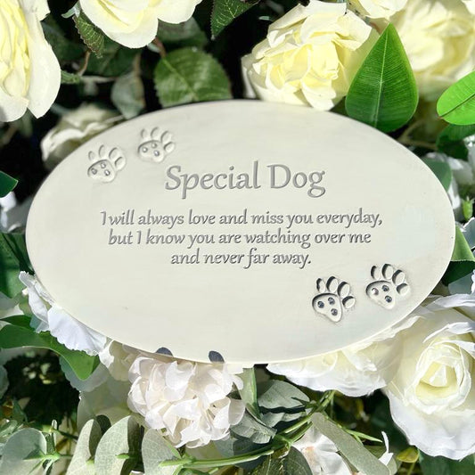 "Remembering You" Feather Plaque - Special Dog