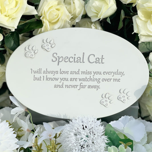 "Remembering You" Feather Plaque - Special Cat