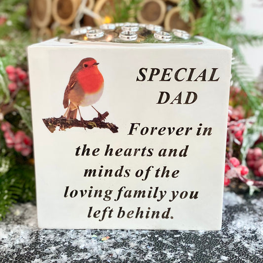 "Robins Appear" Memorial Vase - Special Dad