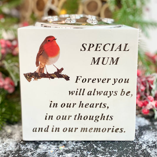 "Robins Appear" Memorial Vase - Special Mum